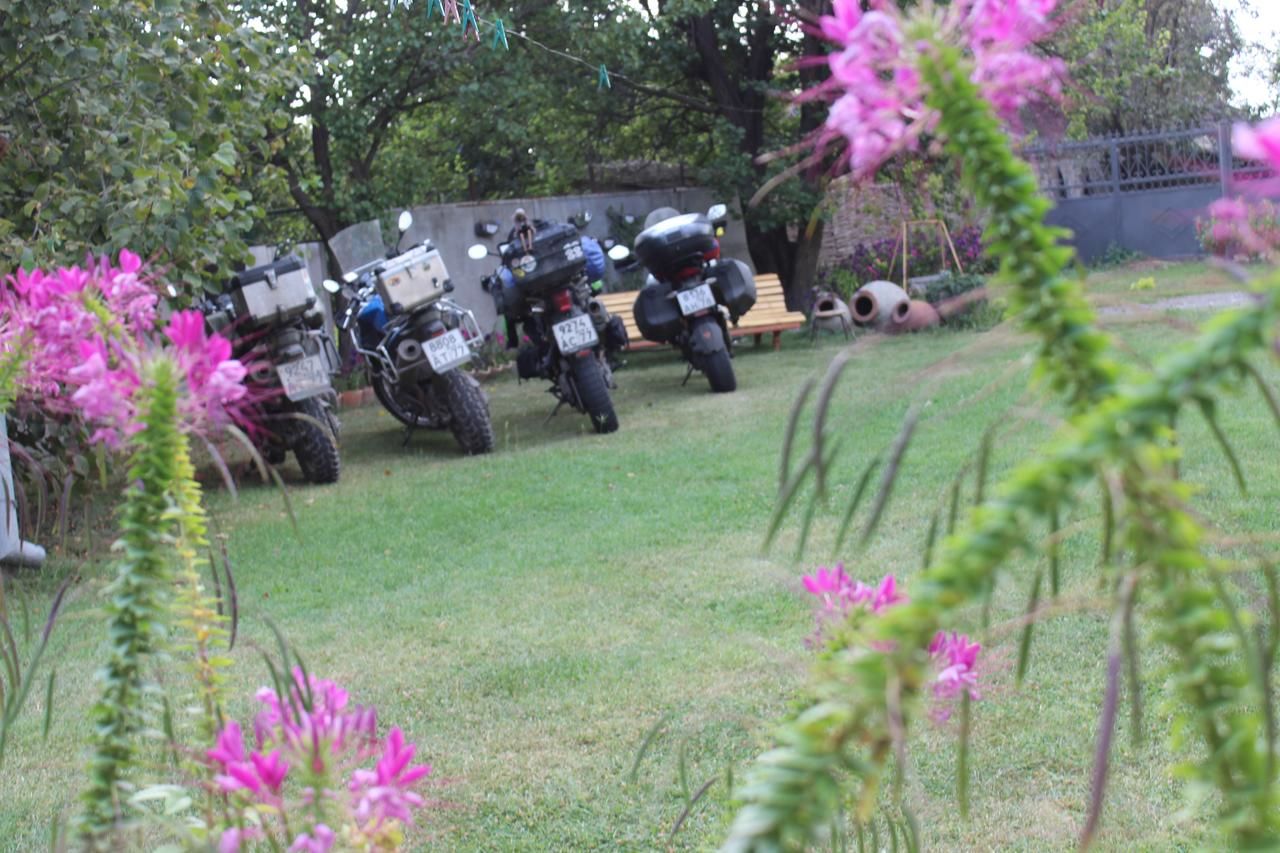 Гостевой дом Guesthouse Alvani K'vemo Alvani-36