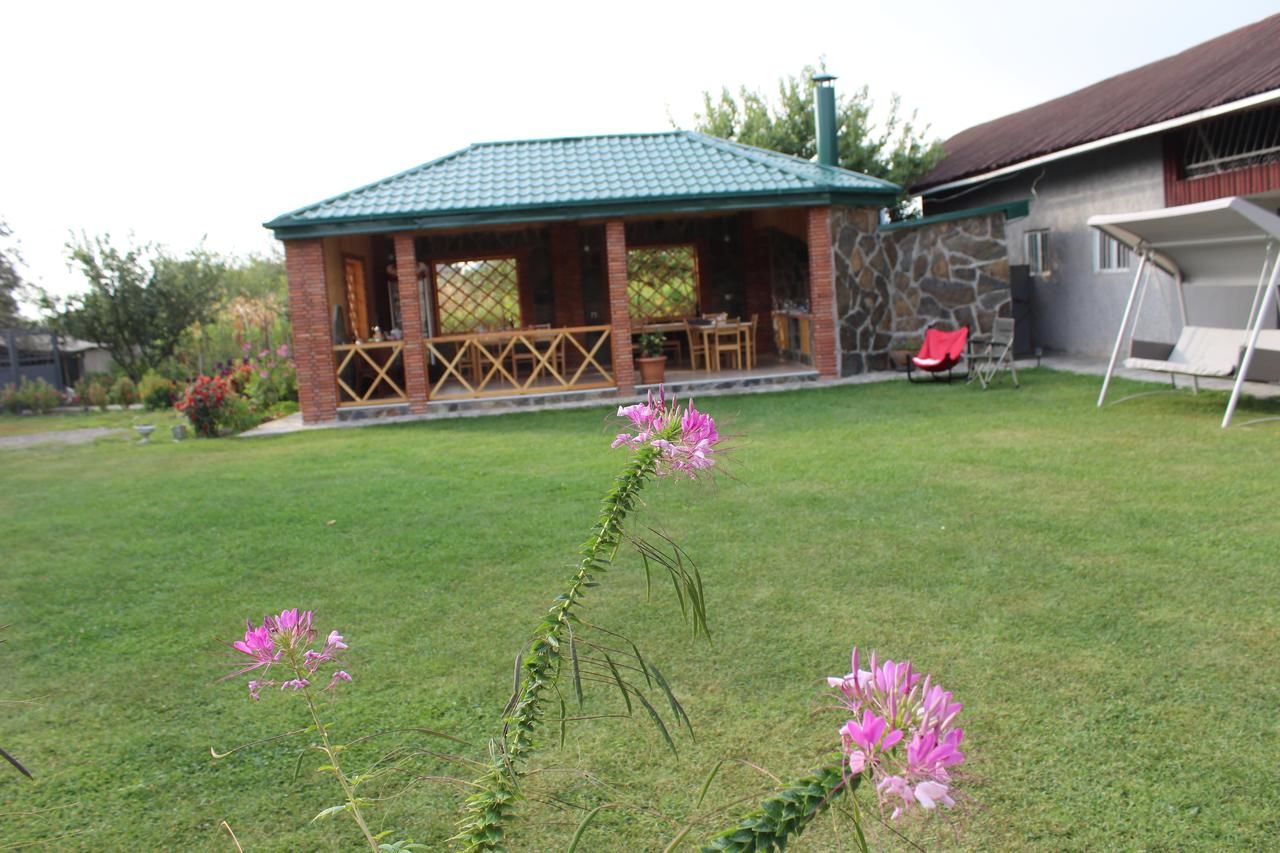 Гостевой дом Guesthouse Alvani K'vemo Alvani-41